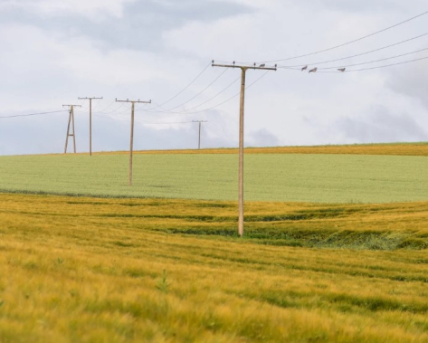 В Україні з 1 серпня зросте тариф на передачу електроенергії