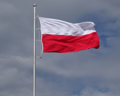Польща усе ж передасть Україні МіГ-29 – ЗМІ