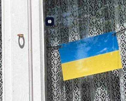 В окремих країнах ЄС в українок просять показувати “Резерв+”