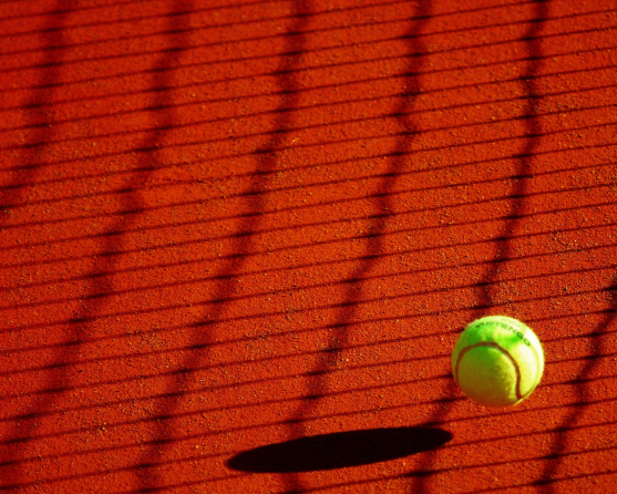 Марта Костюк увійшла до рейтингу WTA, Україна встановила історичний рекорд
